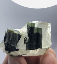 55 Gm Green Cap Tourmaline combine with Quartz Crystal Specimen from Pakistan picture