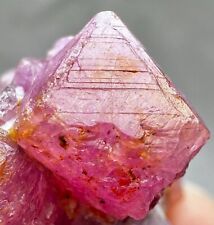 74 Ct Terminated Flower Shape Ruby With Mica Huge Crystals On Matrix @AFG picture