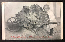 A Young Gardener Of Course he uses Field's Seeds Ontario Canada printed picture