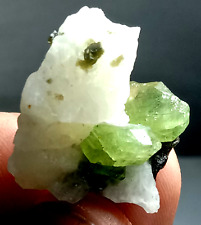 50.1 carat Terminated Green Diopside crystal specimen from Badkhshan Afghanistan picture
