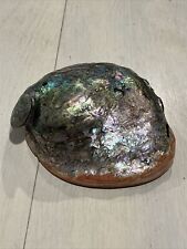 Stunning Abalone Sea Shell Polished Blue Green Rainbow 8” x 6.5” Iridescence picture
