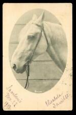 Vintage RPPC Postcard 1903 UDB Arabian Horse Photo Saarlouis Germany picture