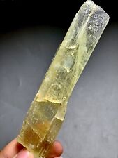 420 Carat Lemon Kunzite Crystal From Afghanistan picture