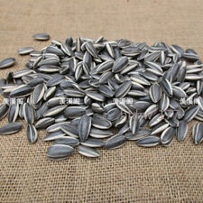 100pcs Art Ai Weiwei Porcelain Sunflower Seeds Decoration Collection US Ship！ picture