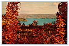 c1960's Rhineland of America Fall Color at Bluff Point Keuka Lake NY Postcard picture