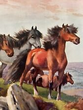 Vintage wild horses print Beautiful Sniffing The Dawn Wind picture