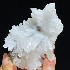 140g White Transparent Chrysanthemum & Calcite Crystal Cluster Mineral Specimen picture