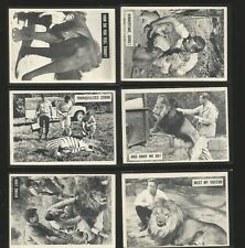 Daktari TV Trading Cards 1966 Philadelphia Card 8 lot 9 16 25 31 53 56 60 66 picture