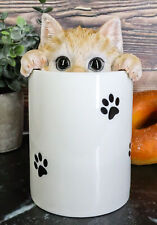 Ceramic Orange Tabby Cat Hiding and Peeking Dry Storage Jar with Paw Prints picture