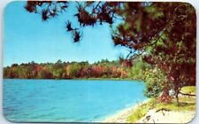 Postcard - Along The Shore, Vacationland Scene - Greetings from Hale, Michigan picture