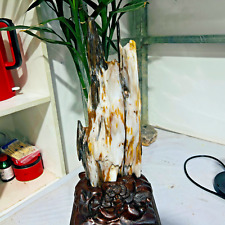 22LB TOP Natural Lignified Jasper Quartz Crystal Specimens Healing+stand picture