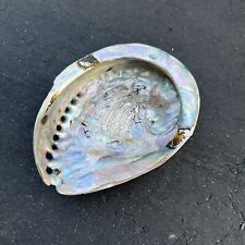 ABALONE Sea Shell Trinket Dish Display Decor Purple - 6