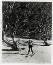 1956 Press Photo Skier in grove of snow gums in Melbourne, Australia - hpa57118 picture