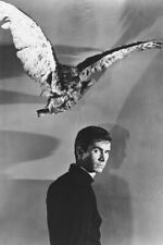 ANTHONY PERKINS 36X24 24x36 inch Poster ALFRED HITCHCOCK PSYCHO picture