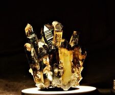Small 85MM Natural Crystal Smoky Quartz Healing Metaphysical Reiki Cluster picture