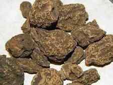 1 LB C & M High john The conqueror root organic harvested carry for luck picture