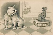 Big Dog and Smaller Dog Looking At Each Other Postcard - udb (pre 1908) picture