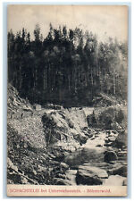 c1910 Nest egg near Unterreichstein Bohemian Forest Germany Antique Postcard picture