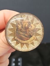 Antique Vtg Glass Domed Painted Brown Dog Old West Bridle Rosette Pin Brooch picture