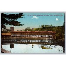 Postcard Posted Maine Forest Mills (American Woolen Co) Bridgton #757 picture