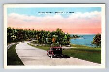 Pensacola FL-Florida, Scenic Highway, Antique, Vintage Postcard picture