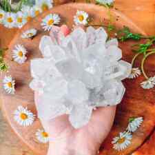 310g+ New Find White Phantom Crystal Cluster Mineral Chunks Reiki Home Decor picture