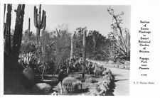 Arizona Desert Botanical Garden Papago Exotic Plantings Postcard Proctor 5556 picture