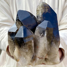 2.75LB Natural Beautiful Black Quartz Crystal Cluster Mineral Specimen Rare picture