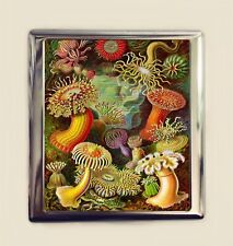 Haeckel Sea Anemones Cigarette Case Business Card ID Holder Wallet Victorian picture