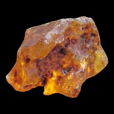 Natural Rough Raw Amber Large Chunky Glows  picture