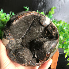 1590g Natural Turtle Back Stone Ball Shape Dragon Crystal Crack Reiki Healing 09 picture