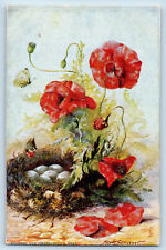 Britain UK Postcard Poppies Greenfinch's Nest c1910 Oilette Tuck Art picture