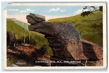 c1920s The Sphinx Rock Formations Catskill Mountains New York NY Trees Postcard picture