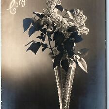 1906 UDB Congratulations Rotograph Early RPPC Real Photo Postcard Flowers NY A69 picture