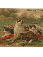 Antique Postcard Clowder Of Cats 1910 Ephemera Countryside Heart Wishes Embossed picture