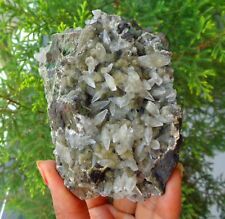 Pointed Calcite Crystals On Matrix Minerals Specimen #F57 picture