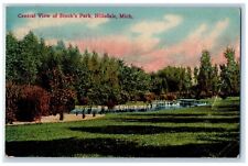 1921 Central View of Stock's Park Hillsdale Michigan MI Antique Postcard picture