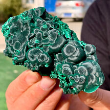 226G Natural glossy Malachite cat eye transparent cluster rough mineral sample picture