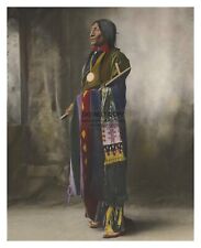 CHIEF WOLF ROBE CHEYENNE NATIVE AMERICAN HAND-TINTED 8X10 PHOTO picture