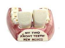 vtg My Two Front Teeth porcelain S&P salt pepper dental medical new mexico tooth picture