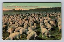 OR-Oregon, Oregon Sheep Ranch, Antique Vintage Souvenir Postcard picture