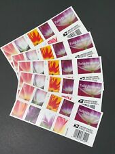 2023 USA Tulip Blossoms 100 Count (5 Sheets of 20) FAST SHIPPING USA picture