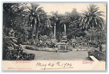 1903 Fountain Trees Botanical Garden Tenerife Spain Antique Posted Postcard picture