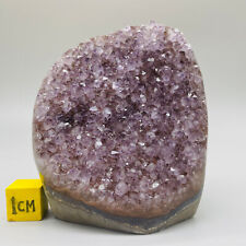 1095g Natural Amethyst Cluster Mineral Specimen Quartz Healing Crystal Gift picture