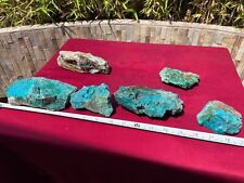 CHRYSOCOLLA ROUGH  PRIV COLLECTION  TOURQUIOSE MINERAL COLLECTION LOT picture