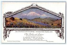 1910 Old Baldy Lupines San Antonio Huntington Hotel Pasadena California Postcard picture