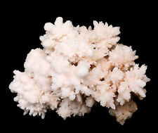 1.74 lb Natural White Crystallization Stone Cluster Mineral Specimen From China picture