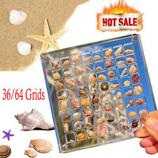 Acrylic Magnetic Seashell Display Box, 36/64 Grids Seashell Display Box US picture