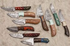 LOT OF 10 PCS HANDMADE DAMASCUS STEEL BLADE MIX SKINNER  HUNTING KNIFE # H-23 picture