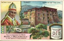 tibet thibet, LHASA, Potala Palace, Dalai Lama (1900s) Condensed Milk Trade Card picture